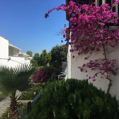 Otel Salinas Bodrum 3*