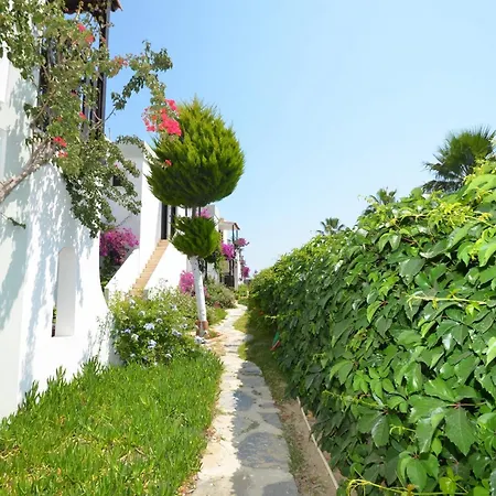 Salinas Bodrum 3*