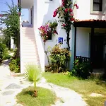 Salinas 검벳