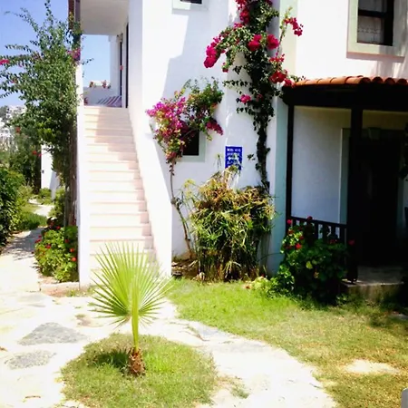 Salinas Gumbet