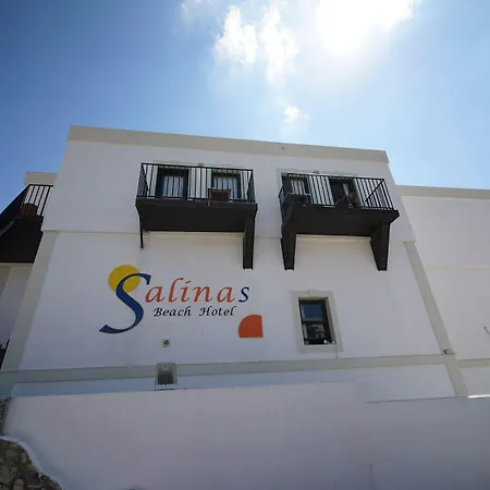 Hotel Salinas 3*