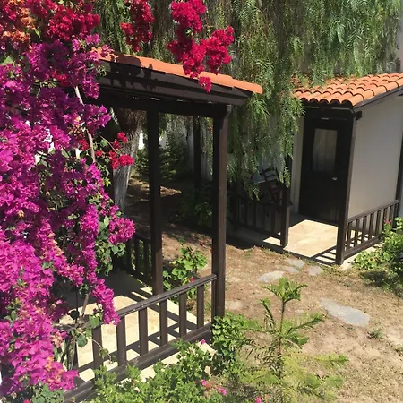 Hotell Salinas Gümbet