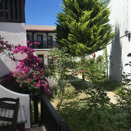 Salinas 3* גומבט