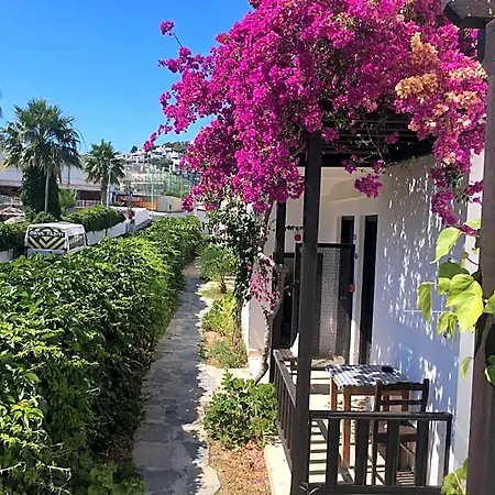Salinas Hotel