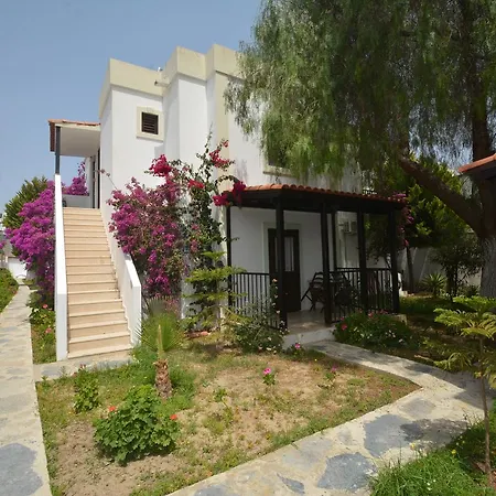 Salinas 3* גומבט