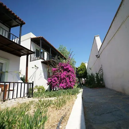 Salinas Hotel Gumbet