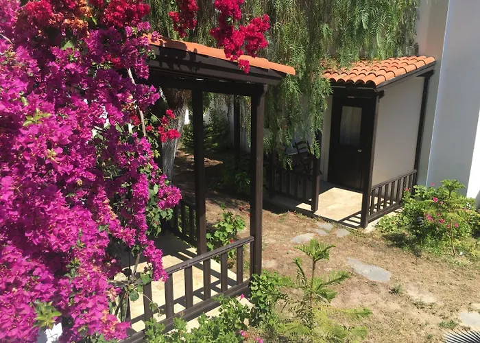 Hotel Salinas Gümbet