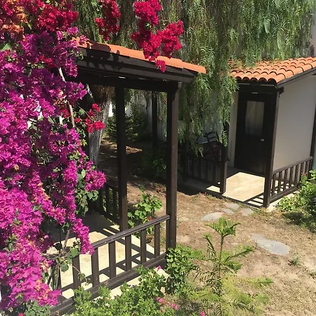 Hotel Salinas Bodrum-boutique Concept Bodrum