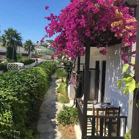 Hotel Salinas Bodrum-boutique Concept 3*