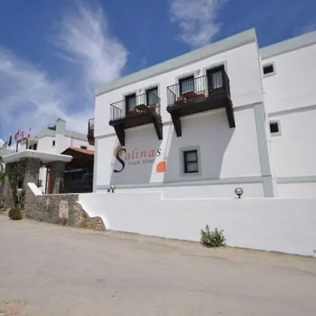Salinas Bodrum-boutique Concept 3* Bodrum
