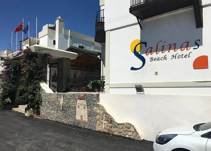Hotel Salinas