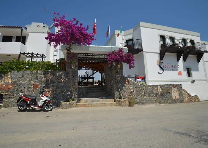 Salinas Hotel Gümbet